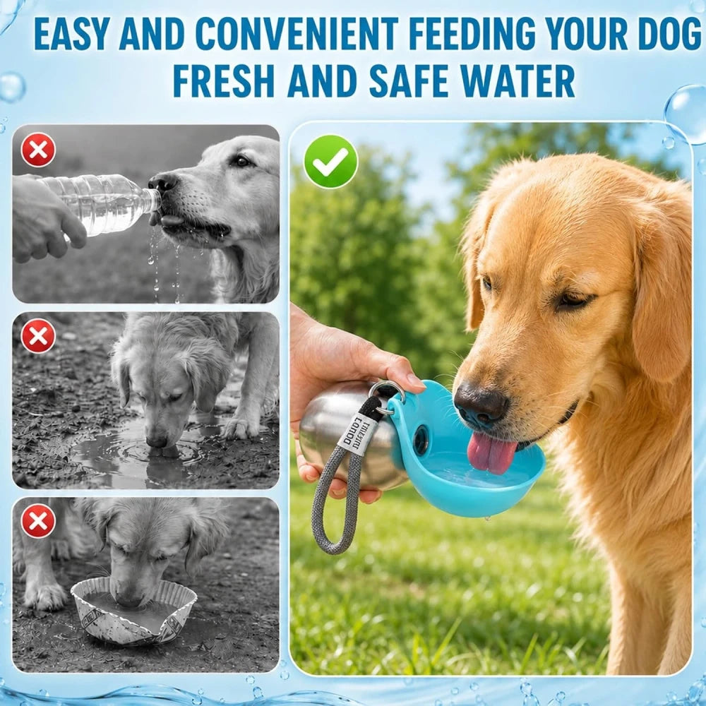 Stainless Steel Pet Travel Water Bottle