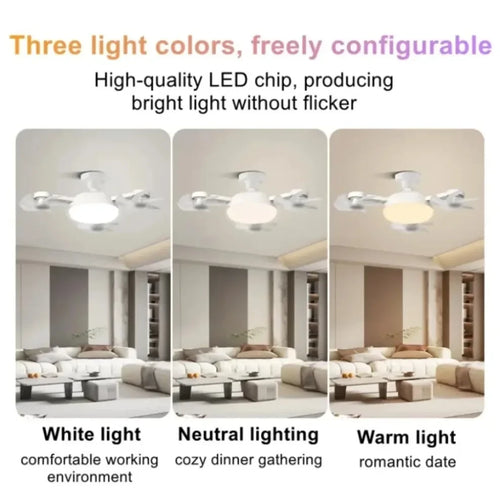 Remote Control Ceiling Fan Lamp